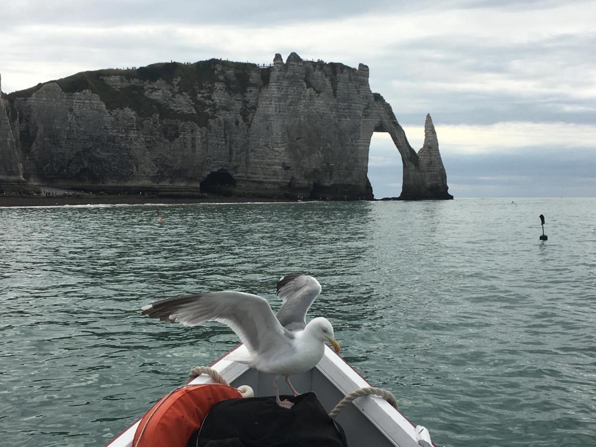 Chambre D'Hote Villa Maurice Étretat Exteriér fotografie